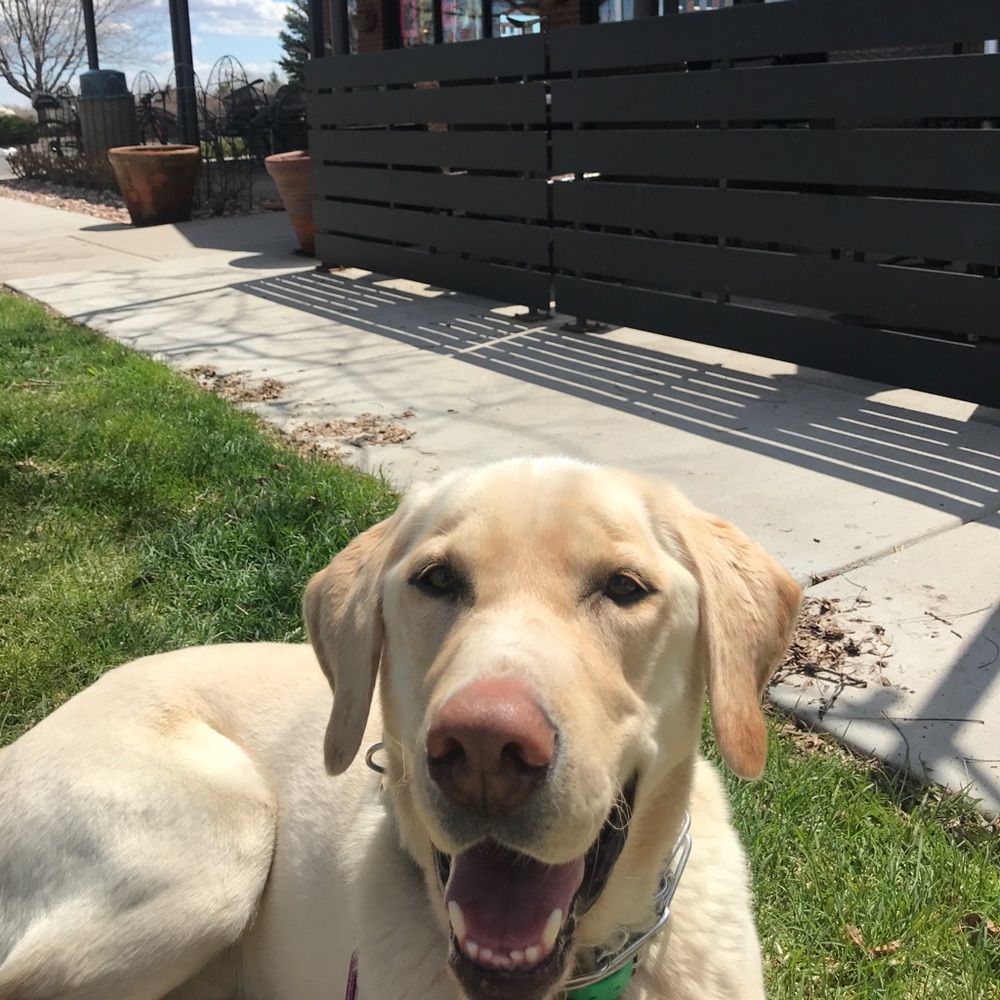 Meet your Posher, Ruthann